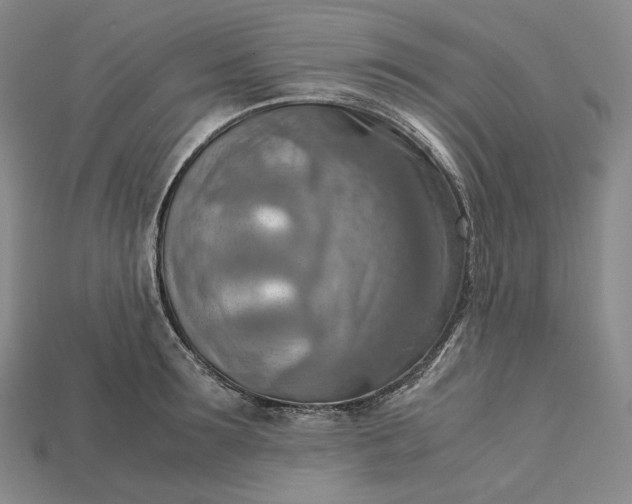 X0000115190899200911121819