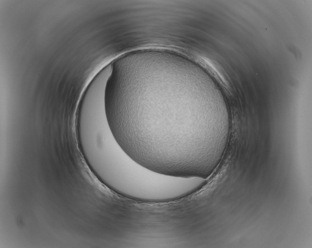 X0000115190900200911121819