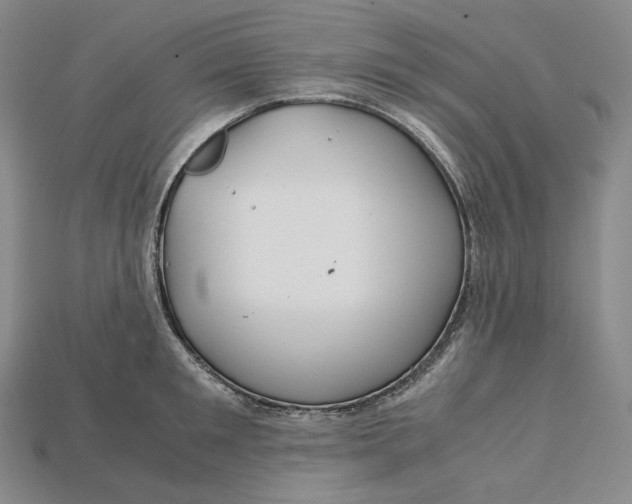 X0000115190901200911121819