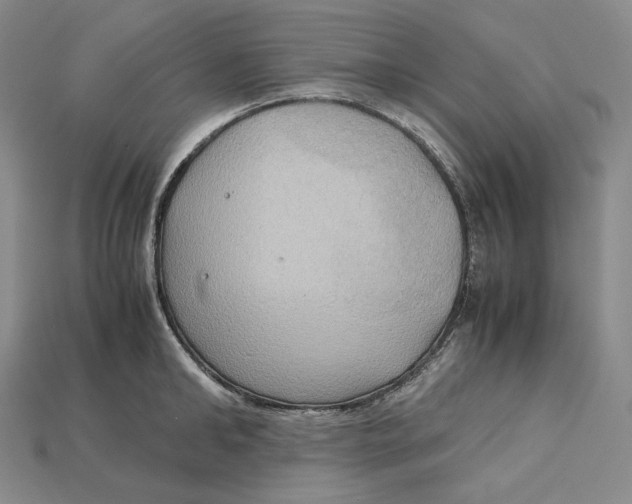 X0000115190902200911121819