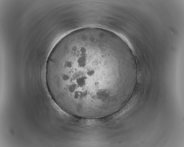 X0000115190903200911121819