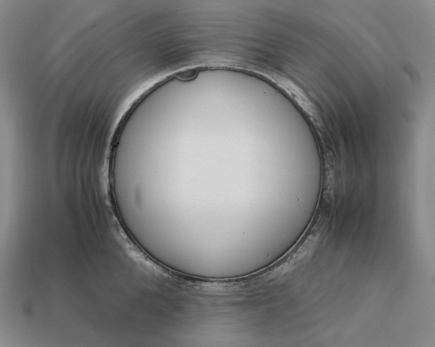 X0000115190904200911121819