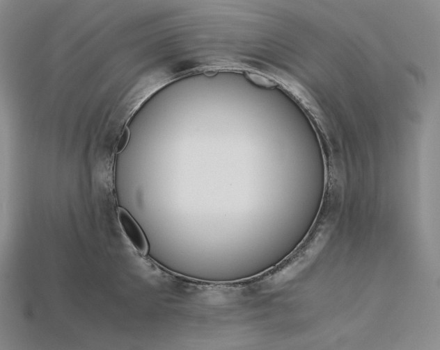 X0000115190905200911121819
