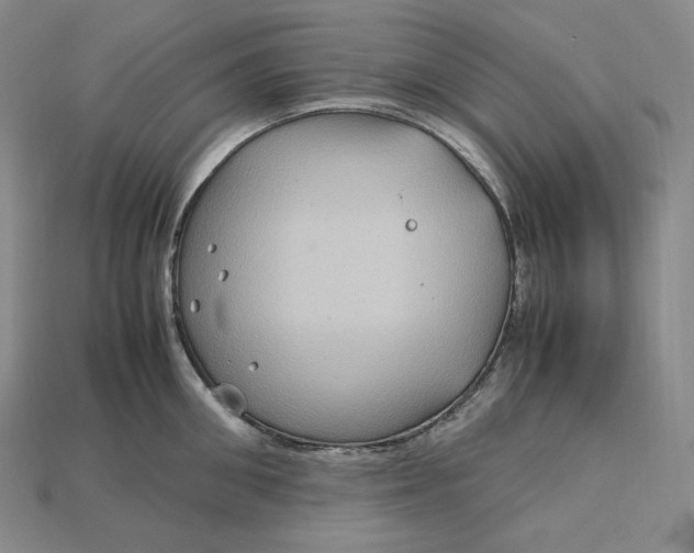 X0000115190906200911121819