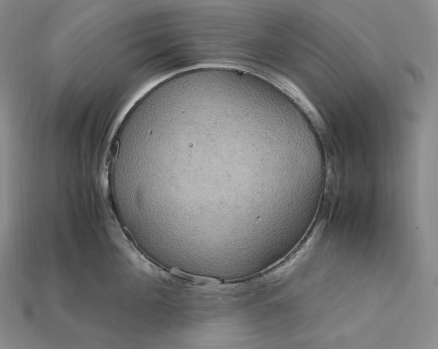 X0000115190908200911121819