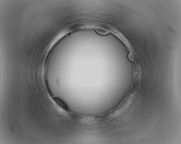 X0000115190909200911121819