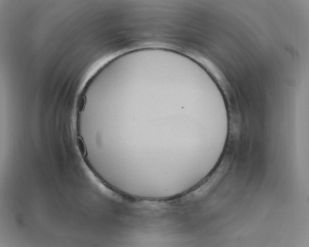 X0000115190910200911121819