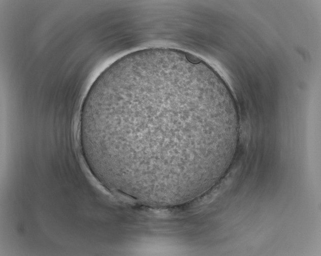X0000115190911200911121819