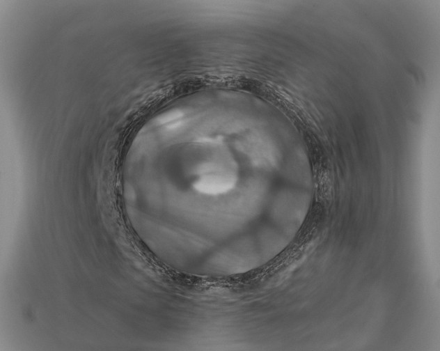 X0000115190913200911121819