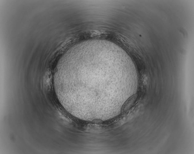 X0000115190914200911121819