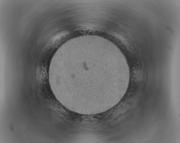 X0000115190918200911121819