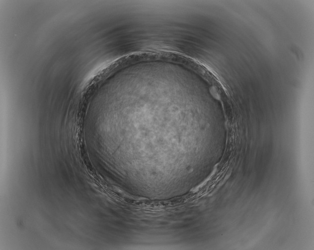 X0000115190919200911121819