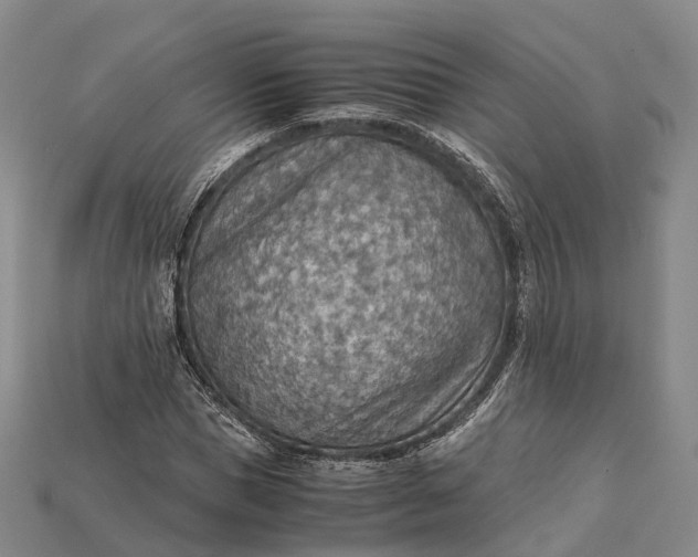 X0000115190921200911121819