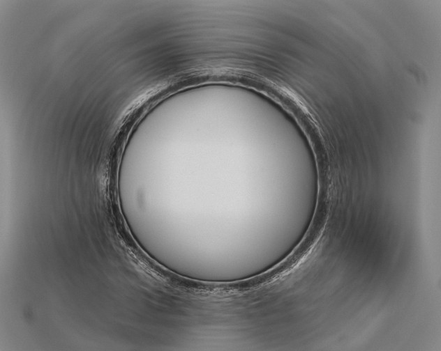 X0000115190922200911121819