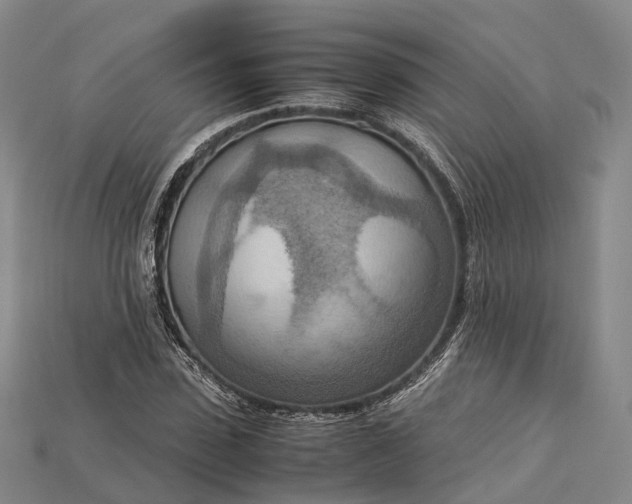 X0000115190923200911121819