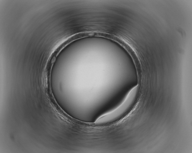 X0000115190925200911121819