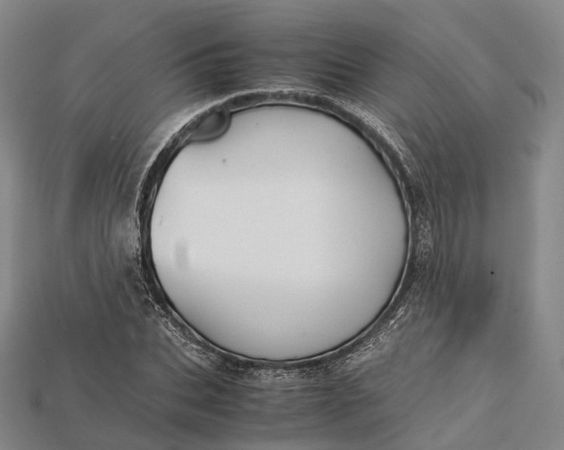 X0000115190927200911121819