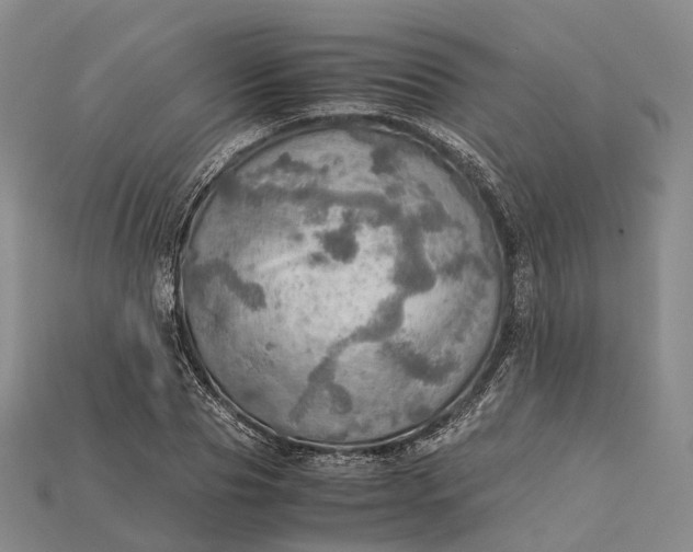 X0000115190929200911121819