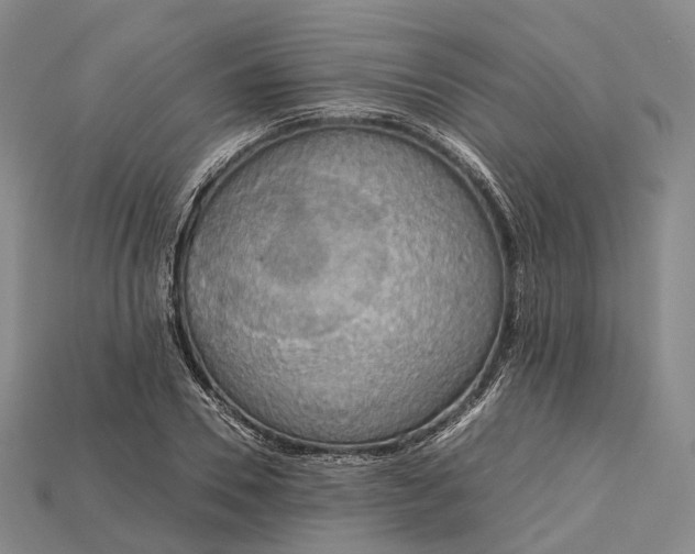 X0000115190930200911121819