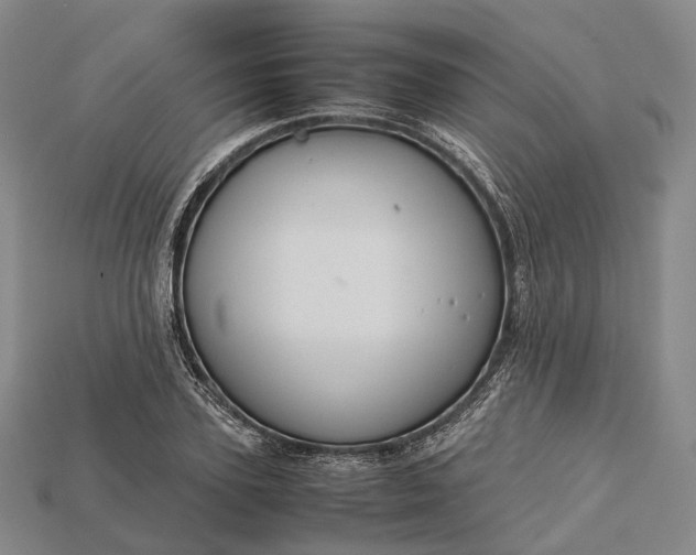 X0000115190931200911121819