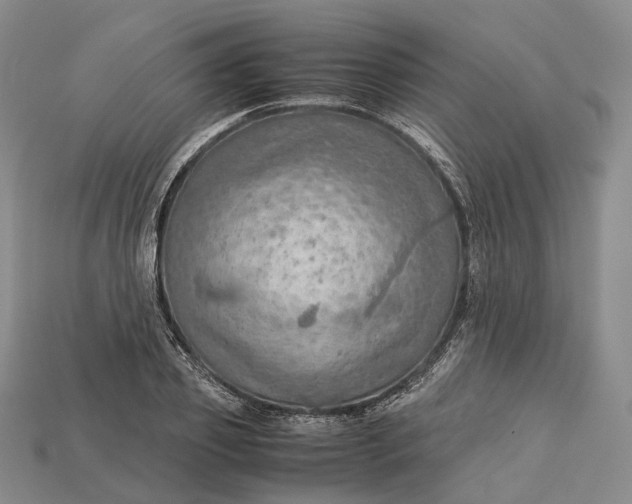 X0000115190933200911121819