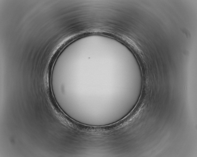 X0000115190934200911121819