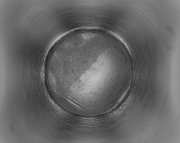 X0000115190935200911121819