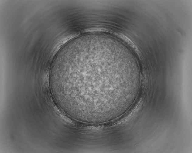 X0000115190937200911121819