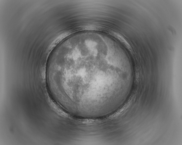 X0000115190938200911121819