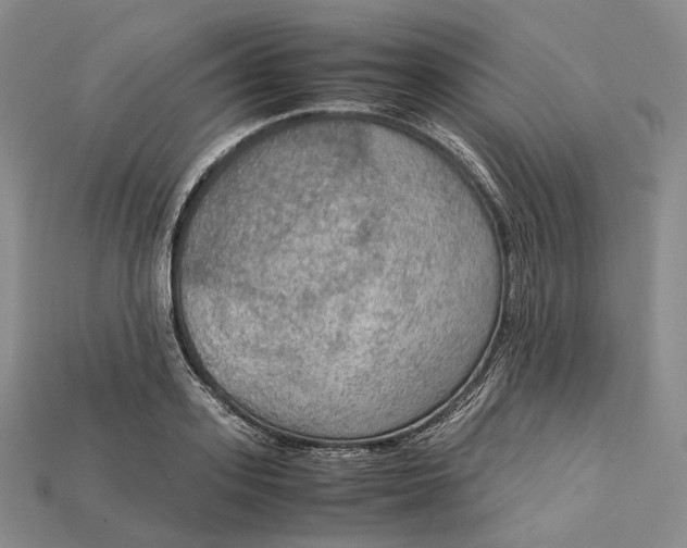 X0000115190939200911121819