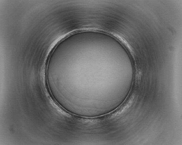 X0000115190941200911121819