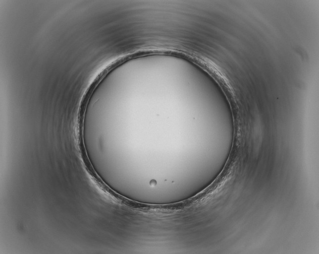 X0000115190942200911121819