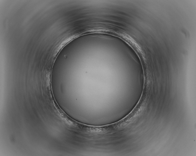 X0000115190945200911121819