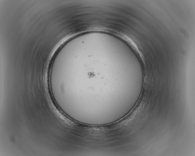X0000115190947200911121819