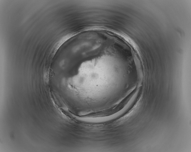 X0000115190953200911121819