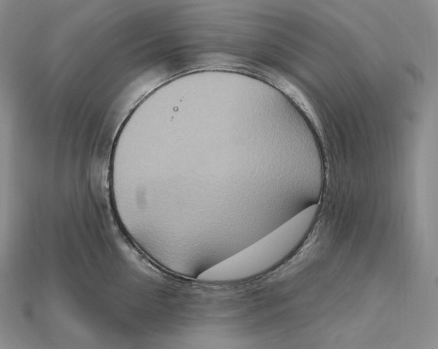 X0000115190954200911121819