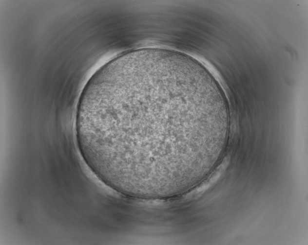 X0000115190957200911121819