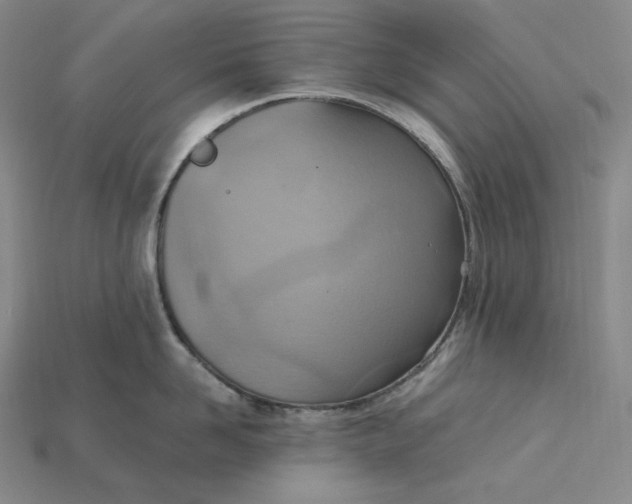 X0000115190958200911121819