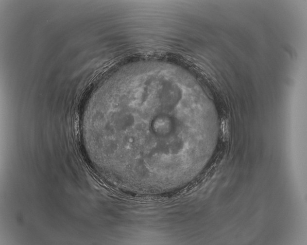 X0000115190963200911121819