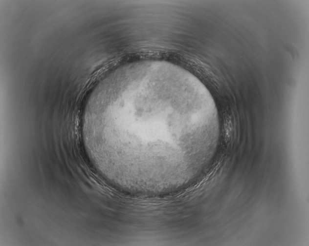 X0000115190964200911121818