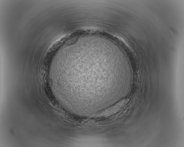 X0000115190967200911121818