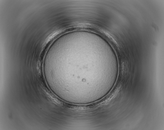X0000115190970200911121818