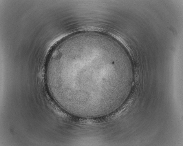 X0000115190971200911121818