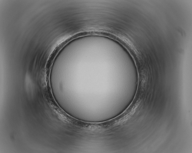 X0000115190974200911121818