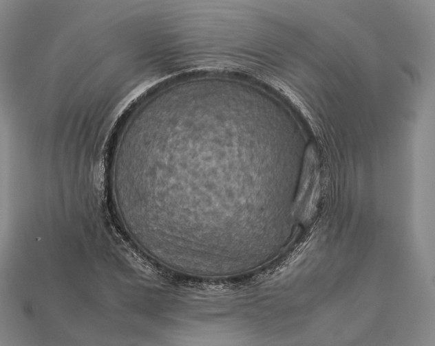 X0000115190975200911121818