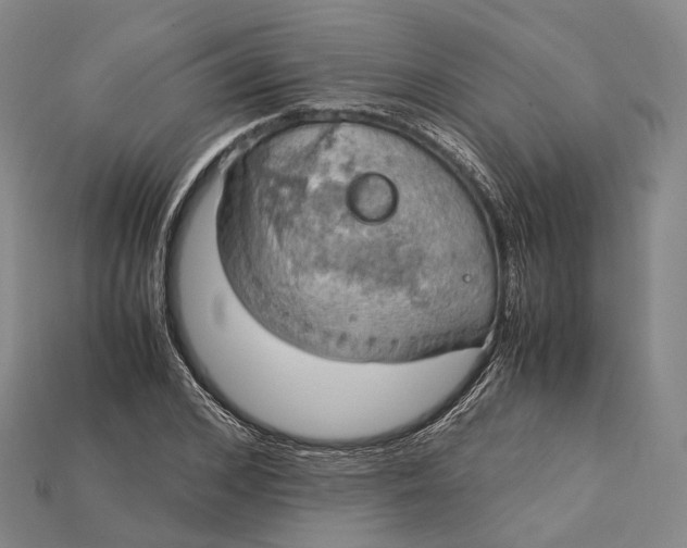 X0000115190976200911121818