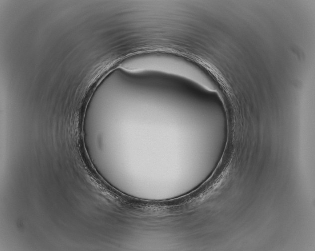 X0000115190977200911121818