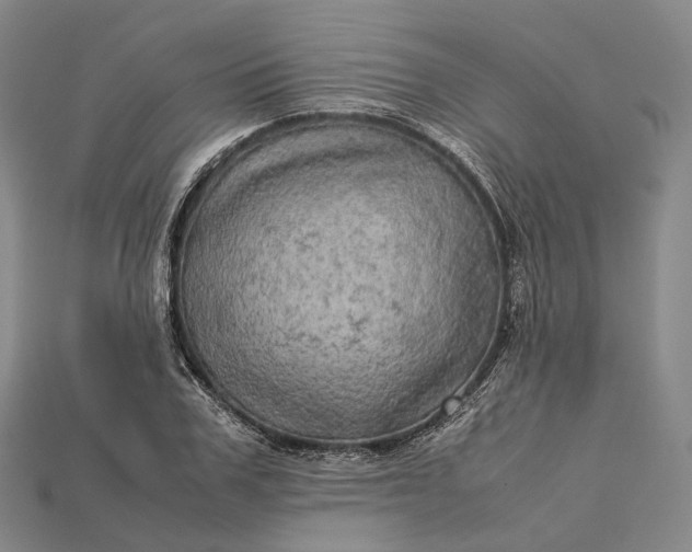X0000115190979200911121818