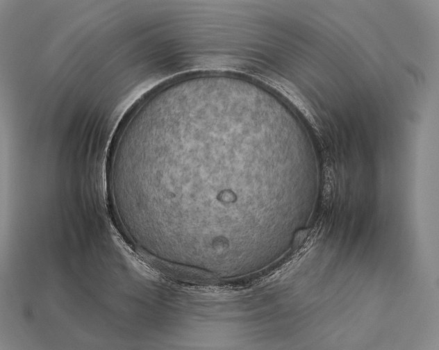X0000115190980200911121818