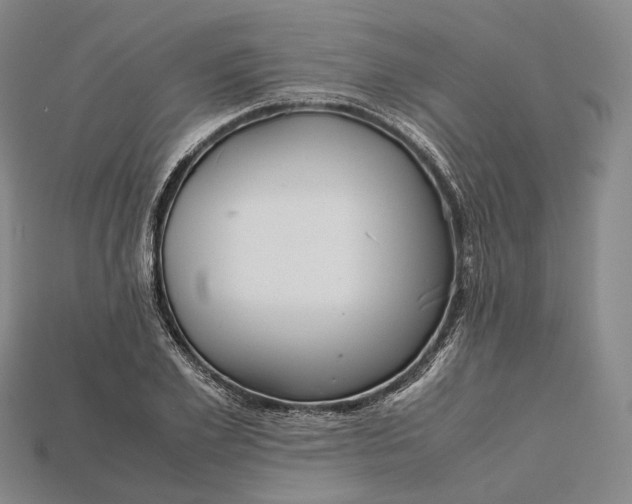 X0000115190981200911121818